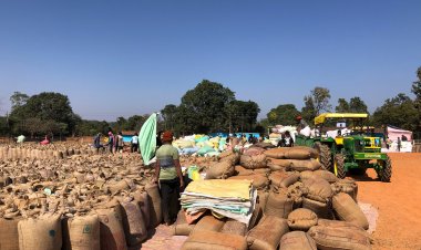 जशपुर में धान खरीदी का सुचारू संचालन: केंद्रों पर सुविधाओं से किसान गदगद, "टोकन तुंहर हाथ" एप से मिली बड़ी राहत