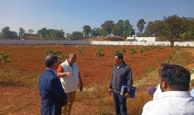 जशपुर में उद्यानिकी क्रांति: केंद्रीय नोडल अधिकारी श्री बी. के. प्रुस्ती ने सराहे नवाचार, स्ट्रॉबेरी और ऑयल पाम बने किसानों की नई ताकत