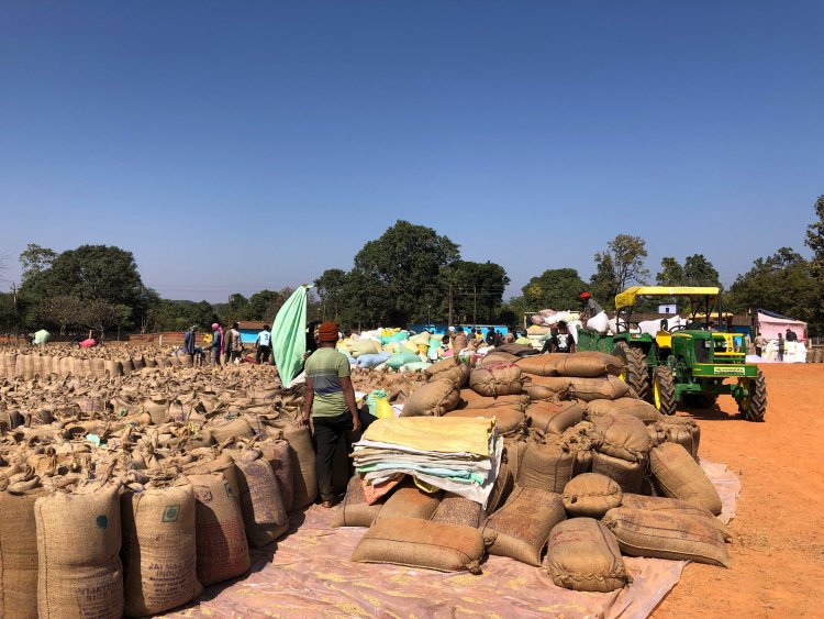 जशपुर में धान खरीदी का सुचारू संचालन: केंद्रों पर सुविधाओं से किसान गदगद, "टोकन तुंहर हाथ" एप से मिली बड़ी राहत