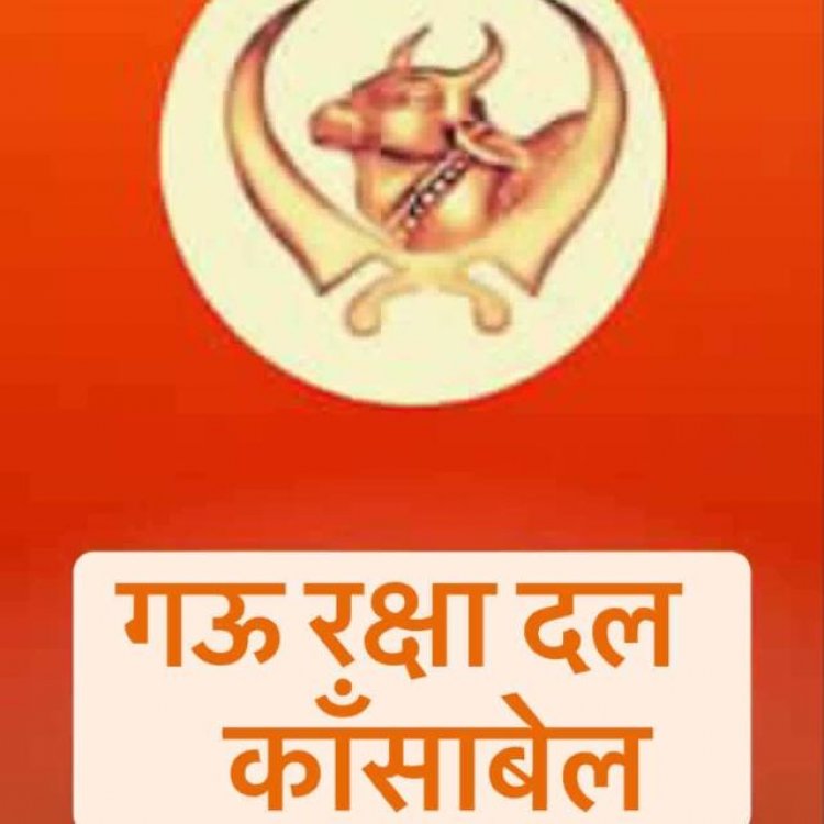 सराहनीय: कांसाबेल गौ सेवा दल ने कुएं में गिरी गौ माता को सुरक्षित निकाला, जेसीबी की मदद से बचाई जान