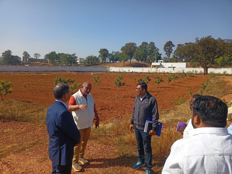 जशपुर में उद्यानिकी क्रांति: केंद्रीय नोडल अधिकारी श्री बी. के. प्रुस्ती ने सराहे नवाचार, स्ट्रॉबेरी और ऑयल पाम बने किसानों की नई ताकत