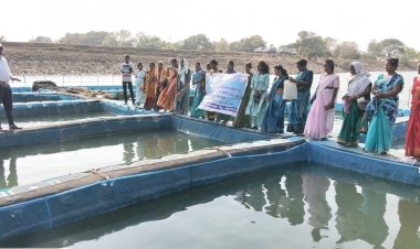 फरसाबहार की महिलाएं बनेंगी 'लखपति दीदी': आधुनिक मत्स्य पालन की बारीकियां सीख आत्मनिर्भरता की ओर बढ़ाए कदम