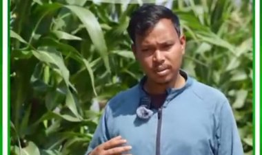 सफलता की नई इबारत: भीतघरा के किसान मुकेश ने 25 एकड़ में पेश किया आधुनिक खेती का मॉडल