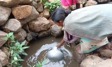 विशेष रिपोर्ट: राष्ट्रपति के 'दत्तक पुत्रों' के हक पर पंचायत की दबंगई, प्यासे पहाड़ी कोरवा ढोंढ़ी का दूषित पानी पीने को मजबूर