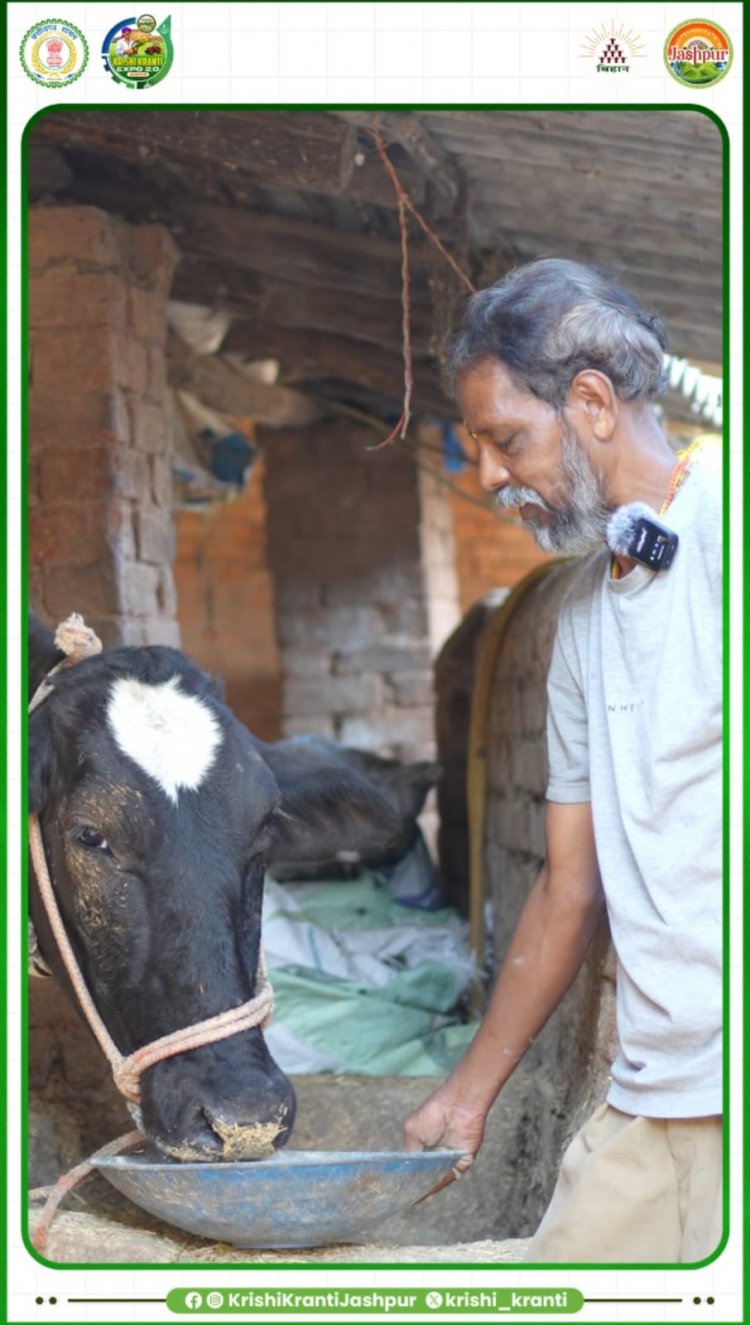 सफलता की कहानी: जशपुर के किसान मधुसुदन ने गौपालन से लिखी समृद्धि की नई इबारत