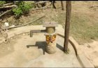 बगीचा ब्रेकिंग: 4 महीने से बूंद-बूंद को तरस रहे ग्रामीण, सचिव पर चमचागिरी का आरोप; अब कलेक्टर रोहित व्यास के आश्वासन पर टिकी उम्मीदें