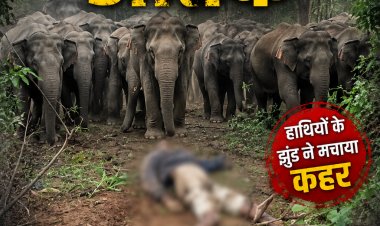 जशपुर में हाथियों का तांडव: 16 हाथियों के दल ने 75 वर्षीय बुजुर्ग को कुचला, मौके पर ही मौत