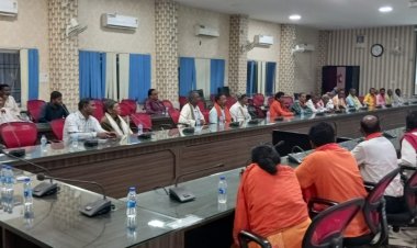 बस्तर में 'मलेरिया-मुक्त' कल की ओर कदम: 10 सालों में 83% घटे मामले, बैगा-गुनिया और मितानिनों ने बदली तस्वीर