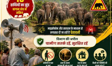 16 हाथियों का दल बगीचा क्षेत्र में सक्रिय; माइक और सायरन से दी जा रही चेतावनी, विभाग ने ग्रामीणों से की सतर्क रहने की अपील