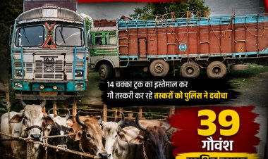 रायगढ़ पुलिस का 'ऑपरेशन शंखनाद': 14 चक्का ट्रक से हो रही गौवंश की तस्करी का पर्दाफाश, 39 मवेशियों का सुरक्षित रेस्क्यू